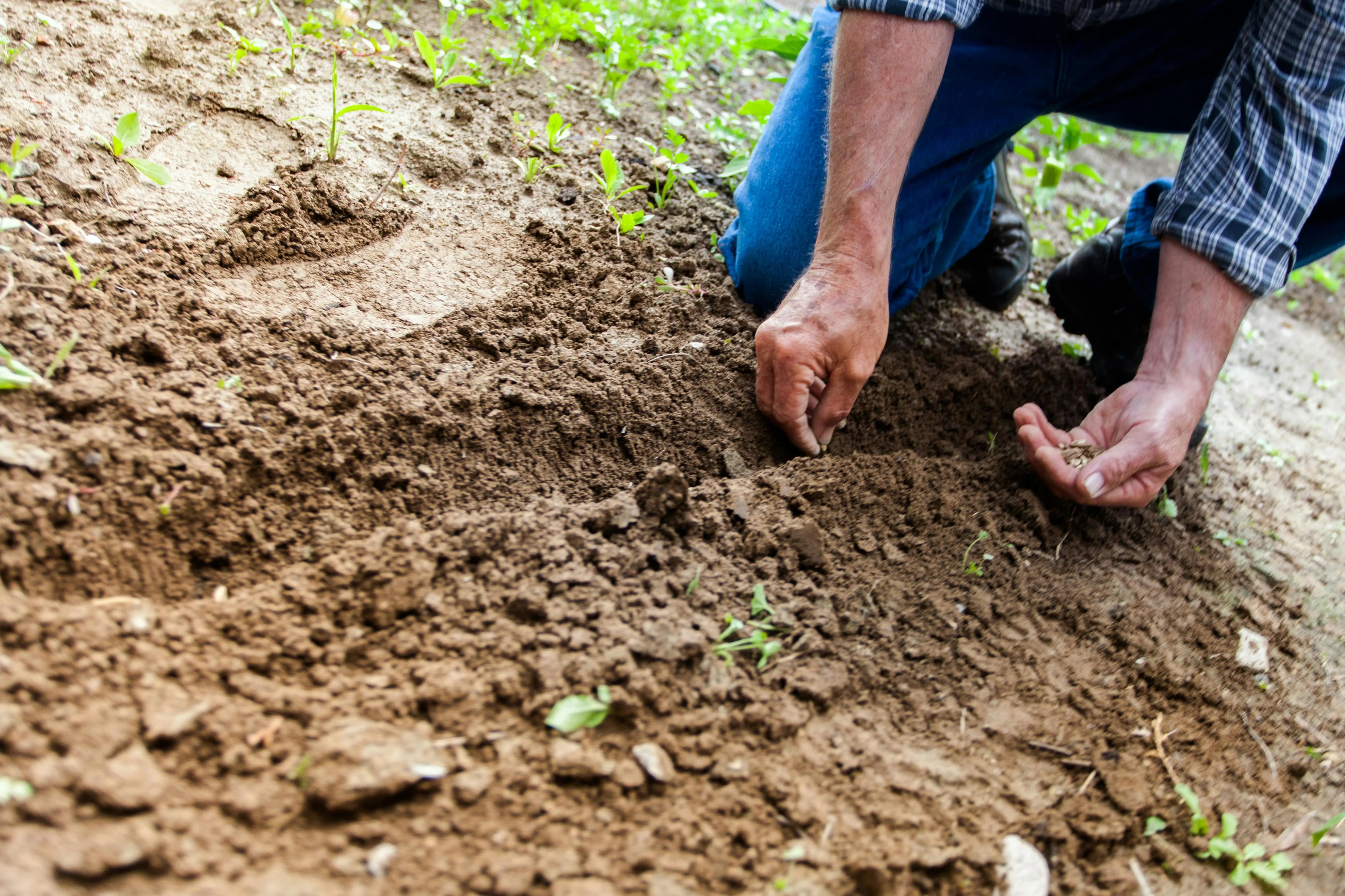 Sustainable-Farming-with-Dayitva-Protecting-Soil-and-Future-Generations Dayitva