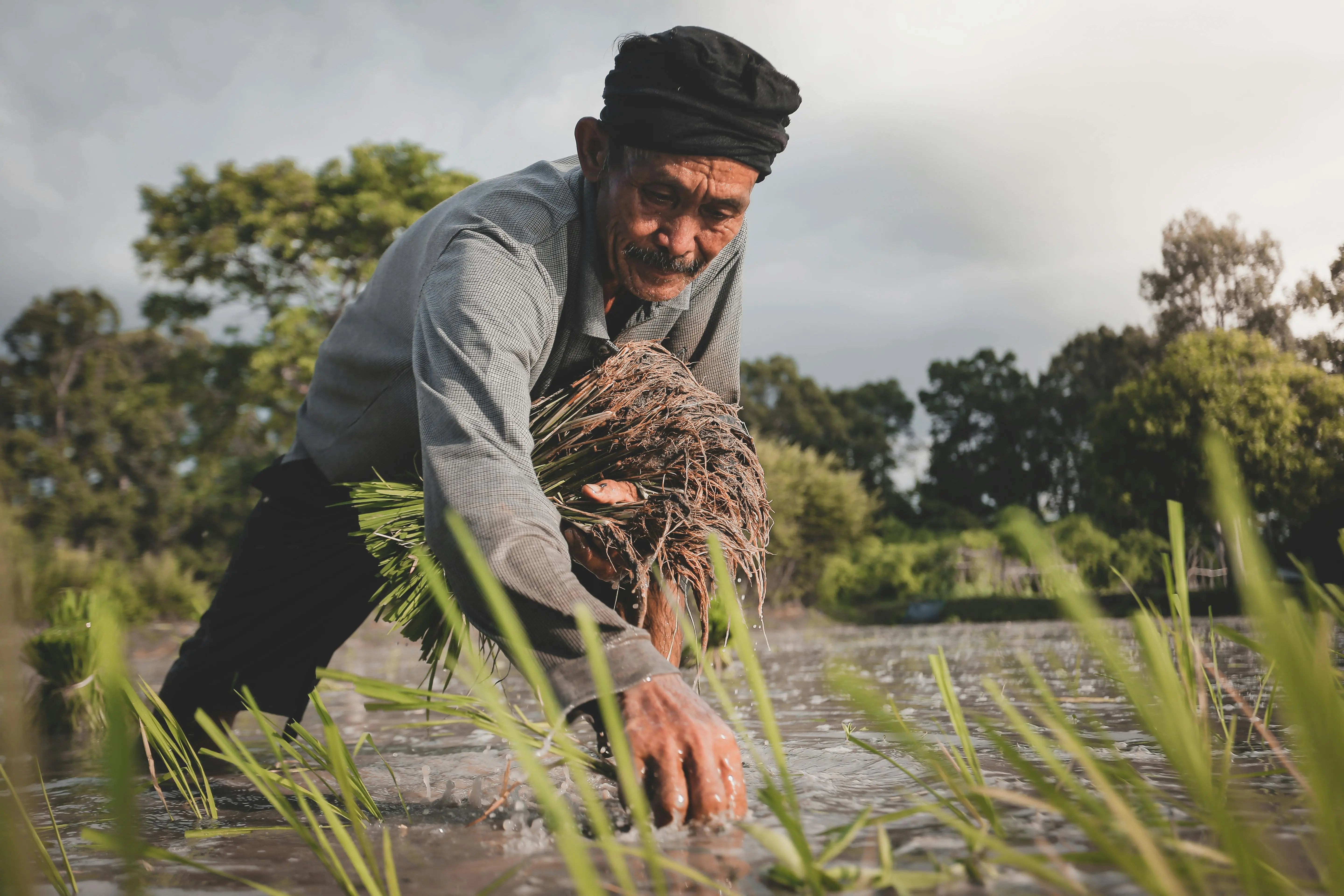 Meet-Our-Farmers-The-Heart-Behind-Dayitva-Rice Dayitva