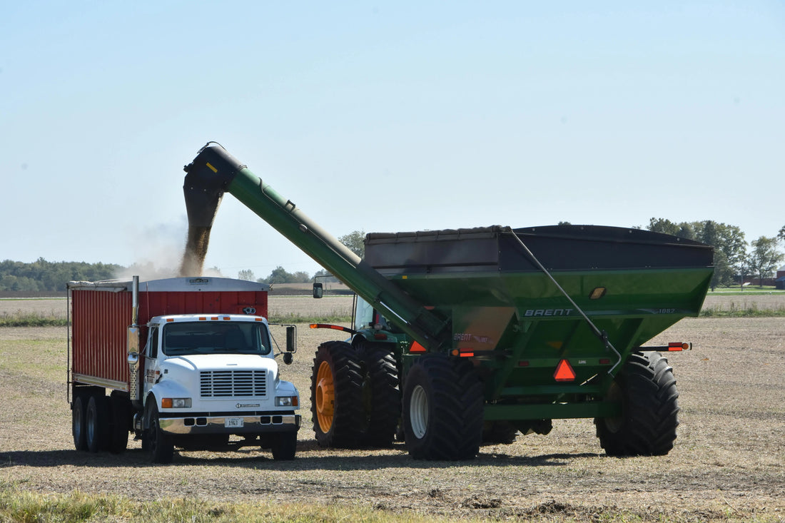The-Journey-of-a-Grain-From-Farm-to-Your-Plate-with-Dayitva-Rice Dayitva